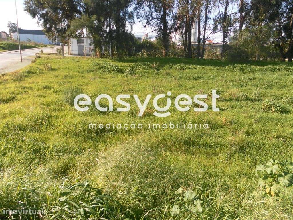 Lote de Terreno Urbano 253m2 para Moradia - Entroncamento - Grande imagem: 4/8