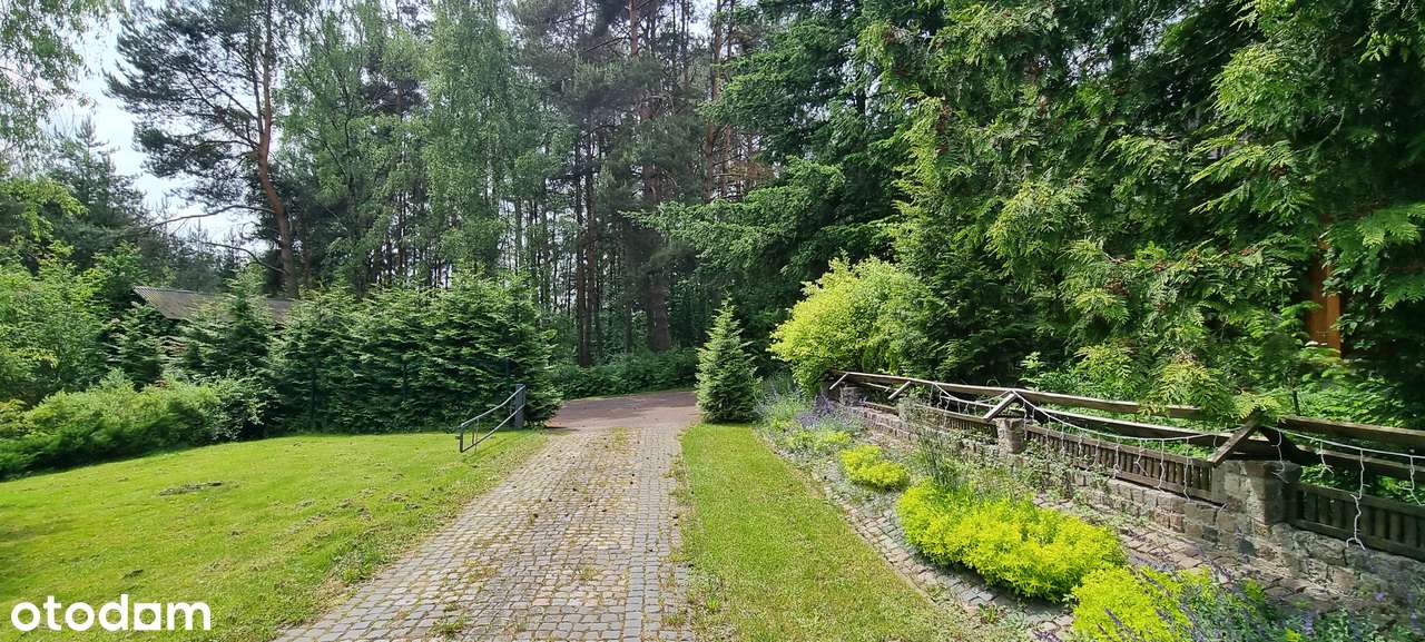 Atrakcyjny teren pod 15 bliźniaków wkomponowanych wśród drzew-17