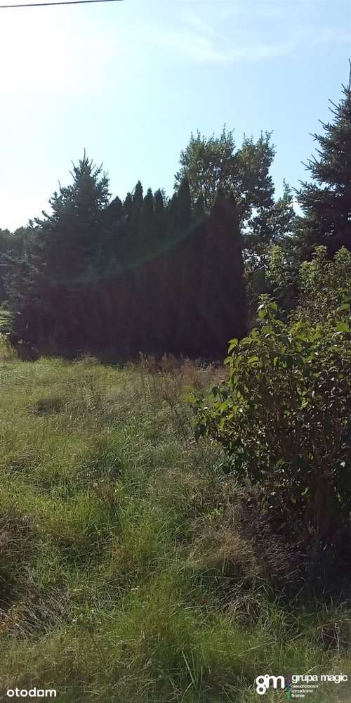 Działka, 2 965 m², Złotoria - Pełny obrazek: 4/6