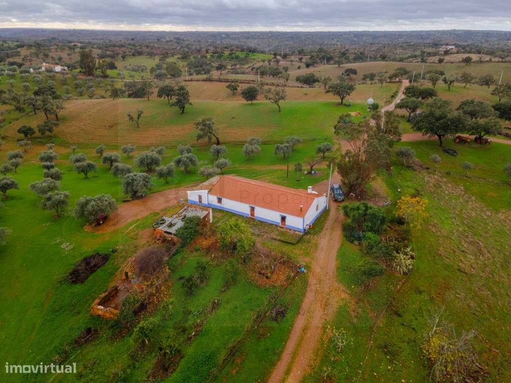 Fantástica quinta típica Alentejana em Vila Verde de Ficalho-7