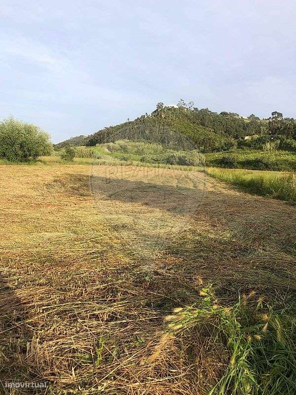 Terreno  para venda - Grande imagem: 3/8