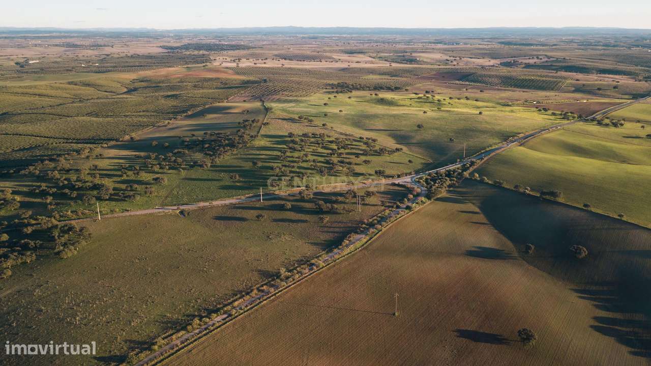 Herdade dos Castelhanos -  190 Hectares, Moura, Alentejo-8