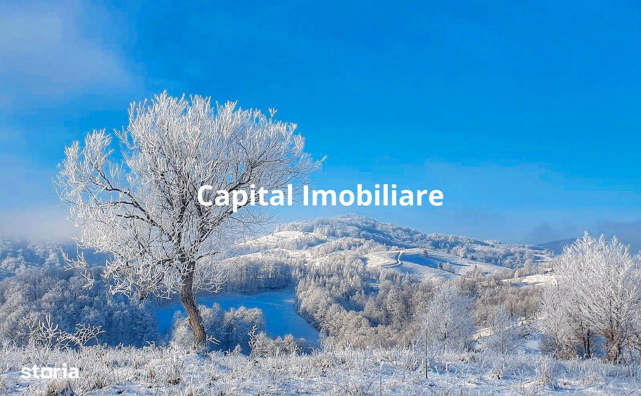 Teren intravilan in Sohodol , Alba - Imagine principală: 5/6