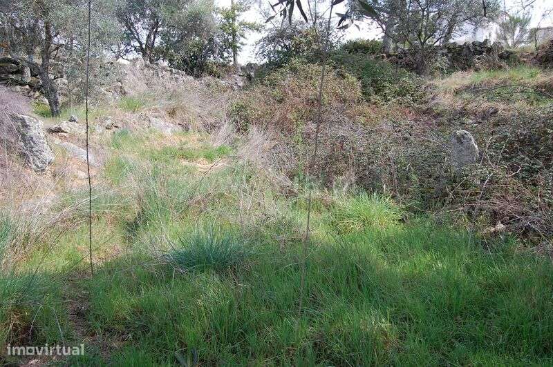 Moradia Rústica T1 / Belmonte, Inguias - Grande imagem: 3/7