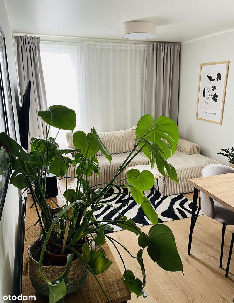 Stare Miasto, piękne 2 pok mieszkanie, zaprojektowane przez architekta - Pełny obrazek: 3/19