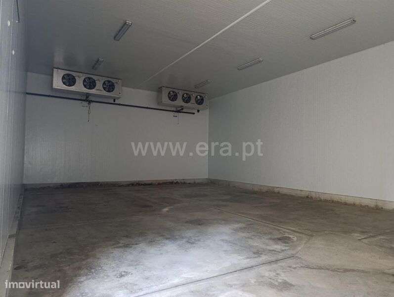 Quinta T1 / Fundão, Donas - Grande imagem: 5/11