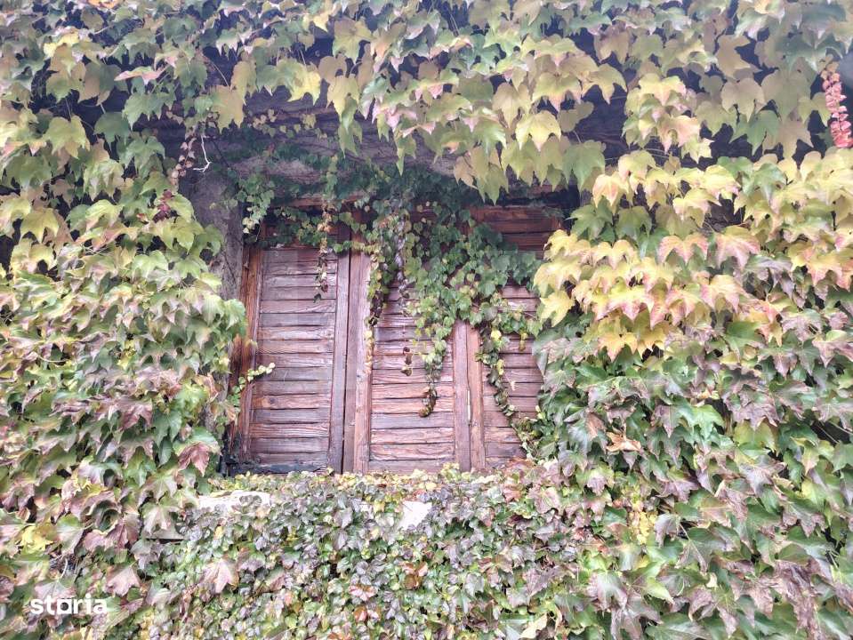 Proprietate in zona Parcului N Romanescu, casa batraneasca si teren de - Imagine principală: 1/9