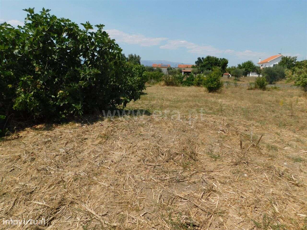 Terreno Rústico / Fundão, Donas - Grande imagem: 3/6