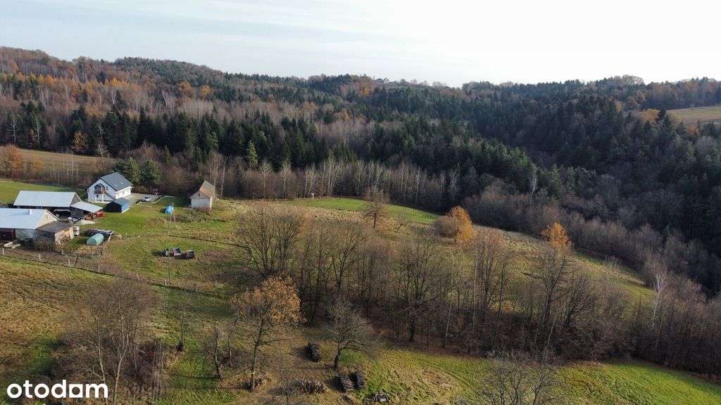 Działka na sprzedaż - Pełny obrazek: 4/6