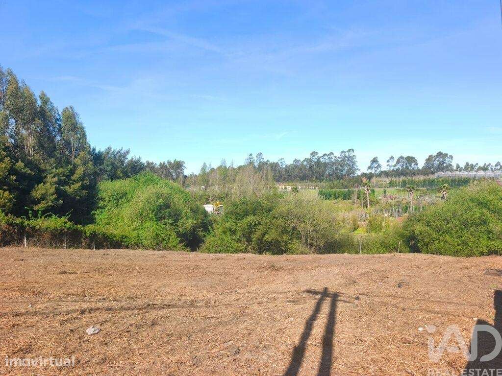 Terreno em Ovar, São João, Arada e São Vicente de Pereira Jusã de 1405 - Grande imagem: 4/8