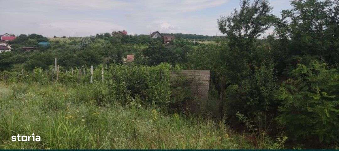 Teren Cârcea - Imagine principală: 5/8