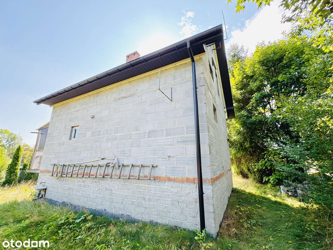 Dom wolnostojący na dużej działce na sprzedaż, Pokrzywnica, Wodzisław - Pełny obrazek: 5/17