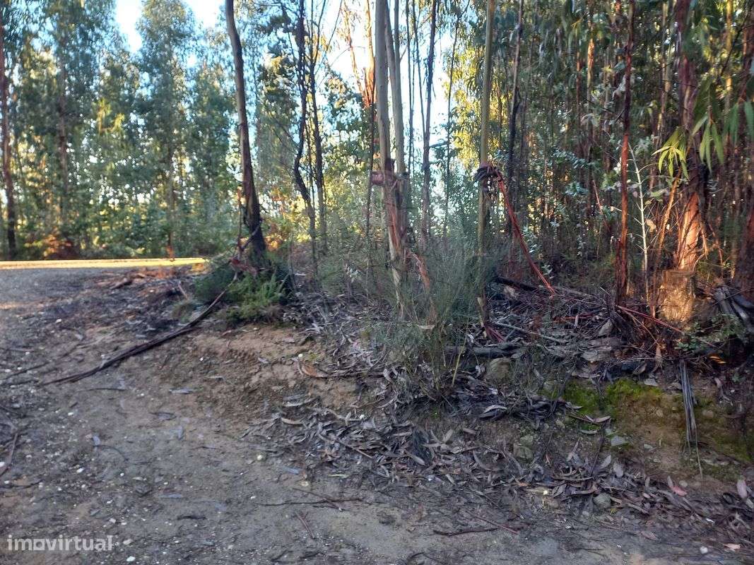 Terreno  para venda - Grande imagem: 4/4