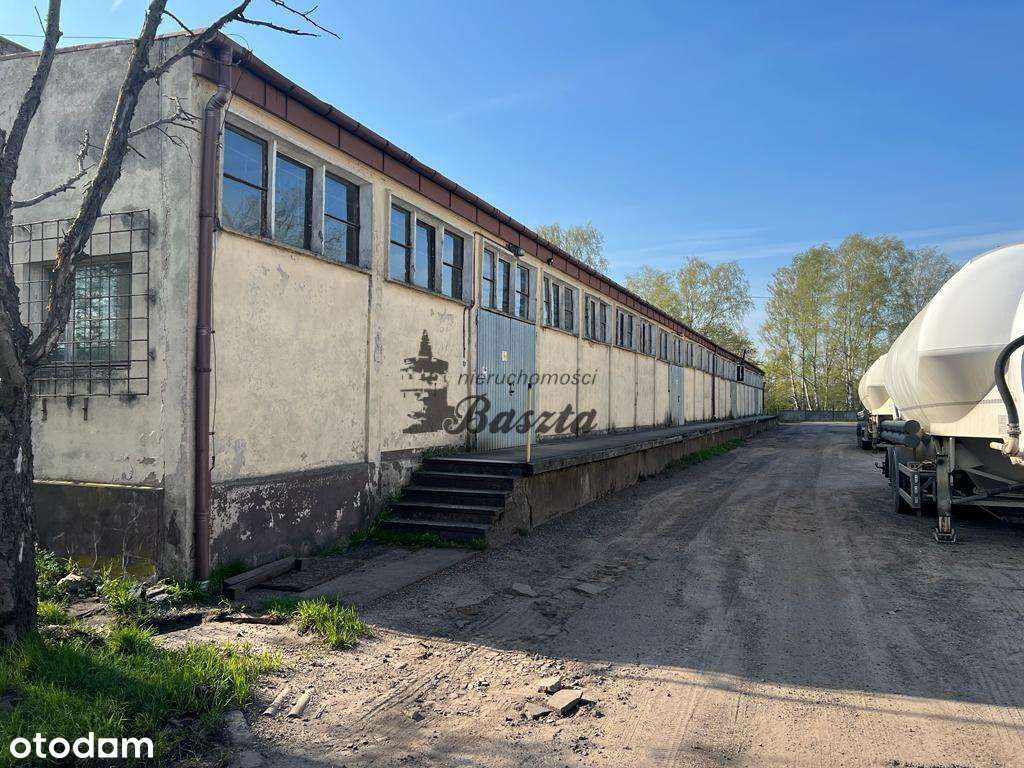 Hala 900m² - 40% taniej! Tylko do 31.05! - Pełny obrazek: 4/6