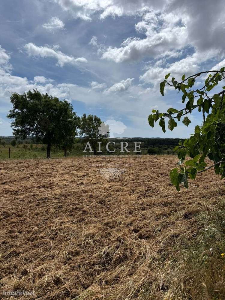 Monte Alentejano com Projeto de Turismo Rural Aprovado – Santiago do C-10