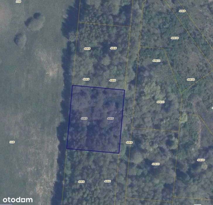 Działka 426/5 w Pręgowie Górnym - Pełny obrazek: 1/5