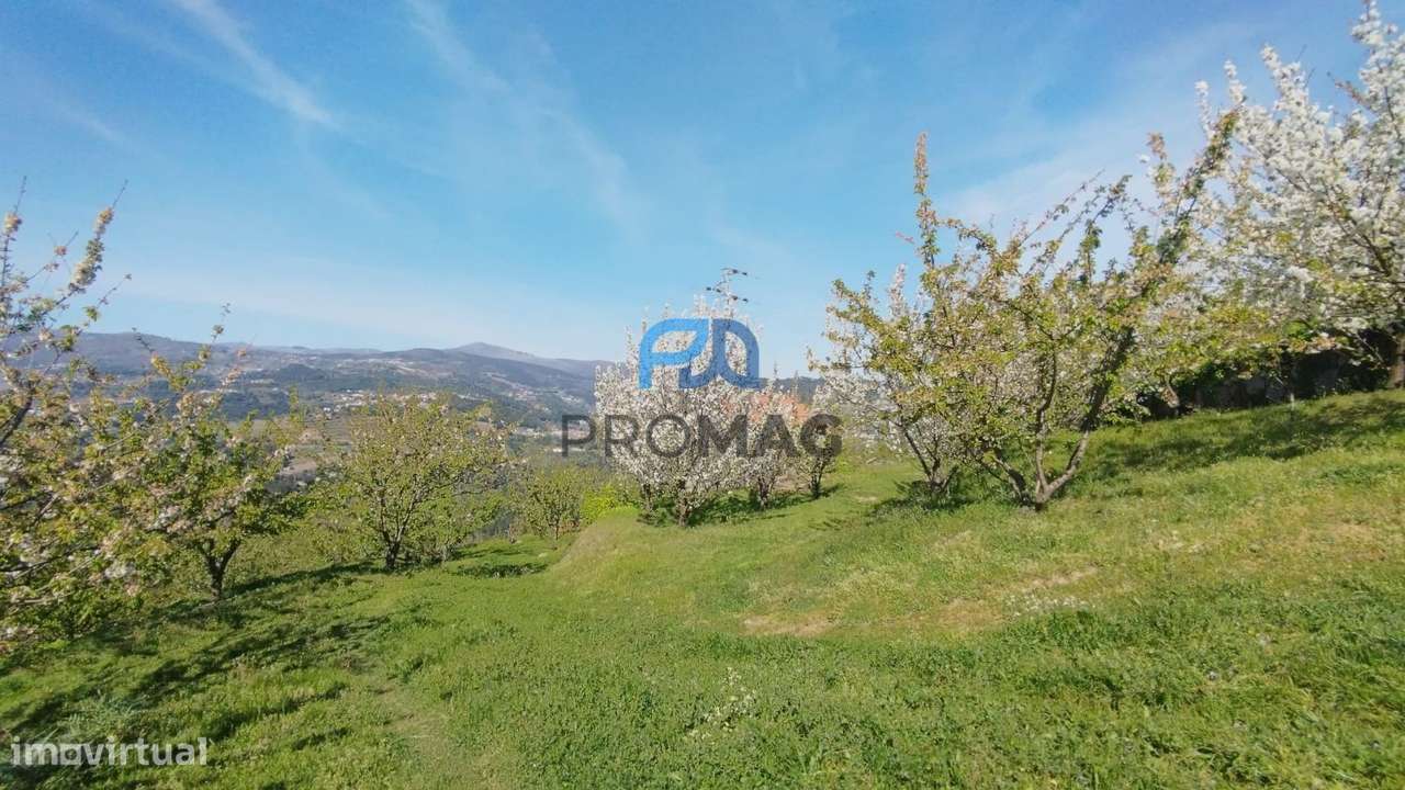 Quinta do Valado- Excelente Investimento em Resende-6