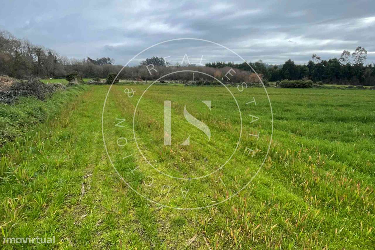 Prédio Rústico na Trofa - Grande imagem: 5/5