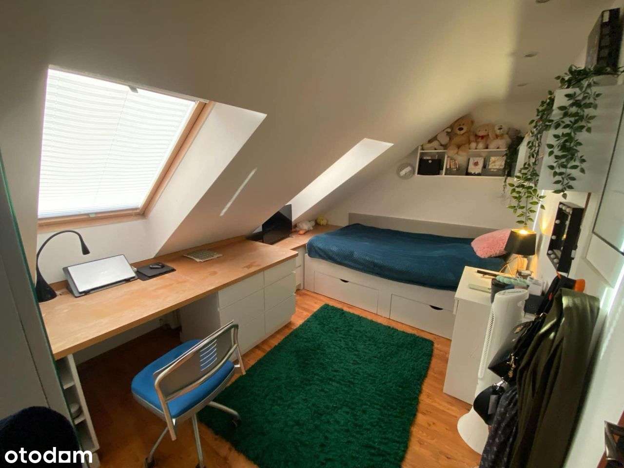 Dom wolnostojący blisko Strzelina-9