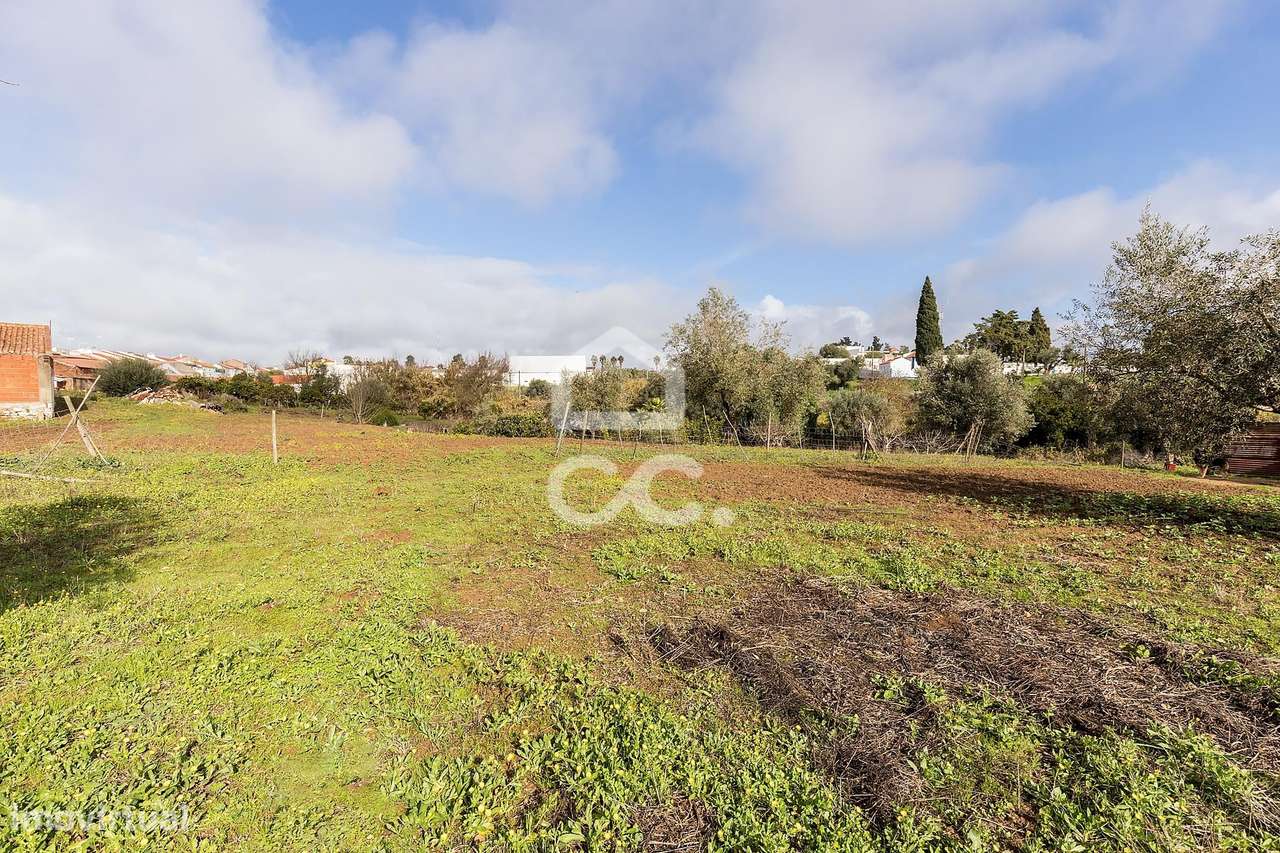 Quinta T5 de 0,9 ha com Moradias e Anexos | Torrão, Alcácer do Sal-51