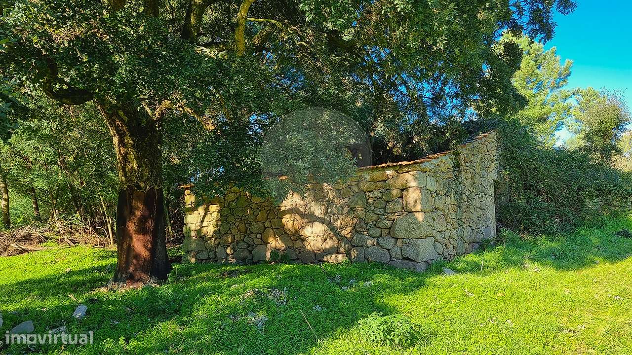 Quinta T0 para venda - Grande imagem: 4/33