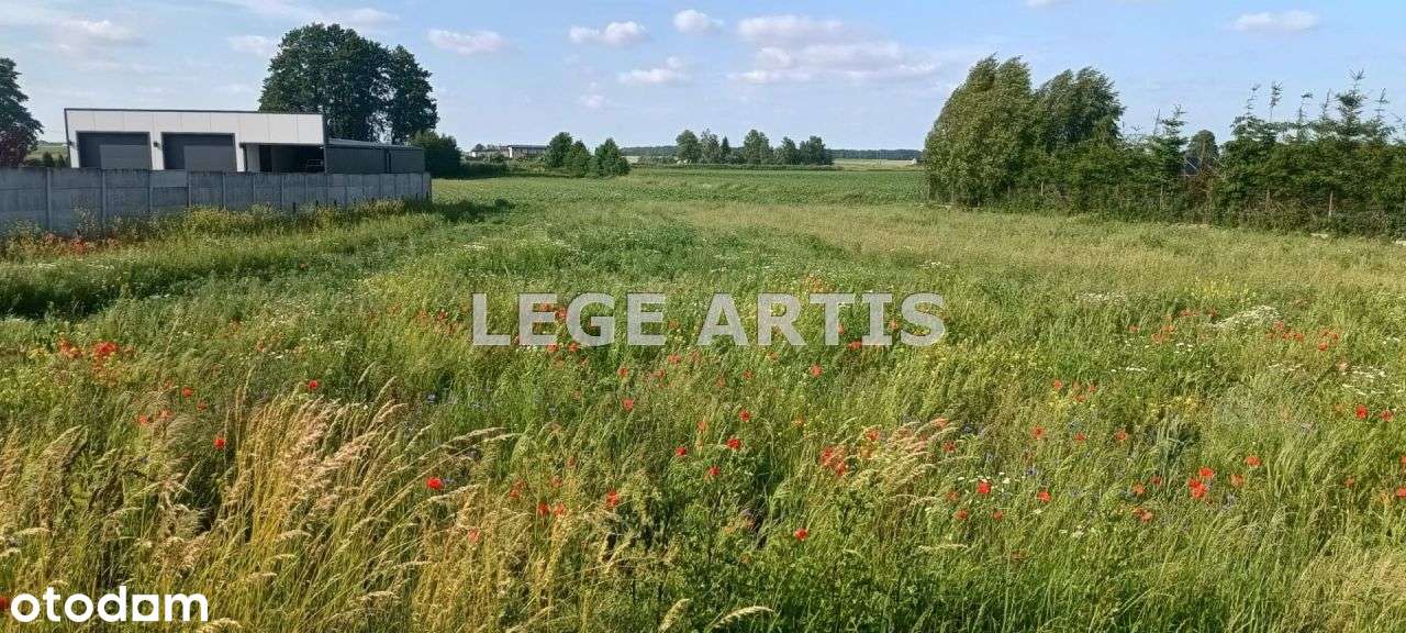 Dziłaka budowlana - Pełny obrazek: 4/4