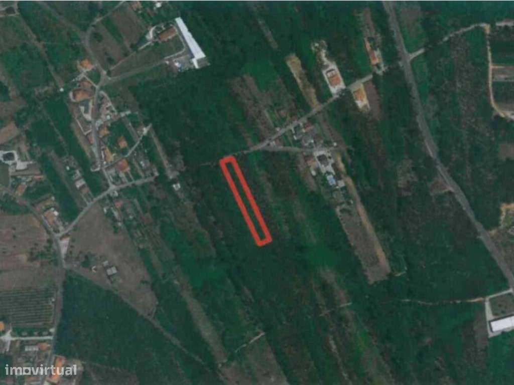 Terreno em Recardães em zona de construção (VENDA JUDUCIAL: verba n...-5