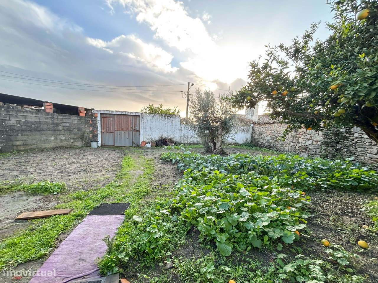 Moradia T3 habitável c/ Quintal e Enorme Potencial de Transformação –-42