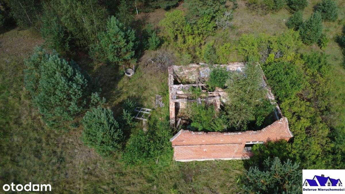 Siedlisko w sąsiedztwie lasu-12