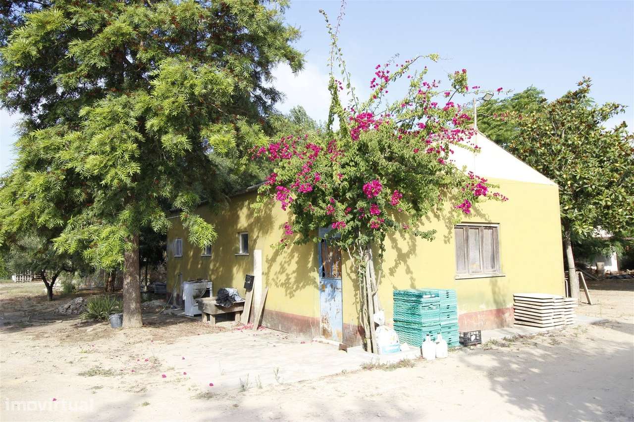 Quinta  Venda em Vendas Novas,Vendas Novas-15
