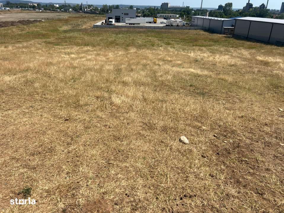Teren intravilan Auchan Bradu - Imagine principală: 2/4
