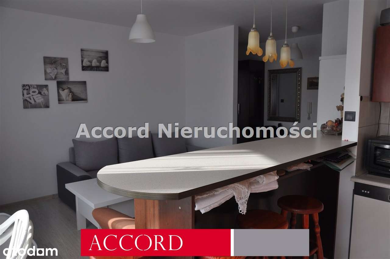 Motylkowa, 2 pok, pełne wyposażenie, balkon - Pełny obrazek: 5/15