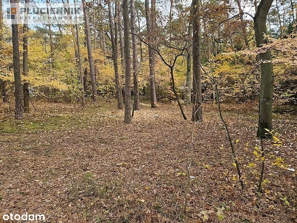 Sokolniki Las, działka na sprzedaż-5