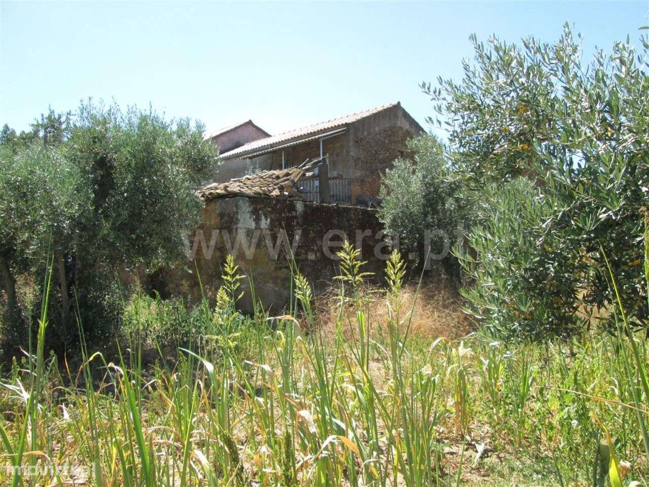 Quinta Estúdio / Fundão, Enxames - Grande imagem: 5/7