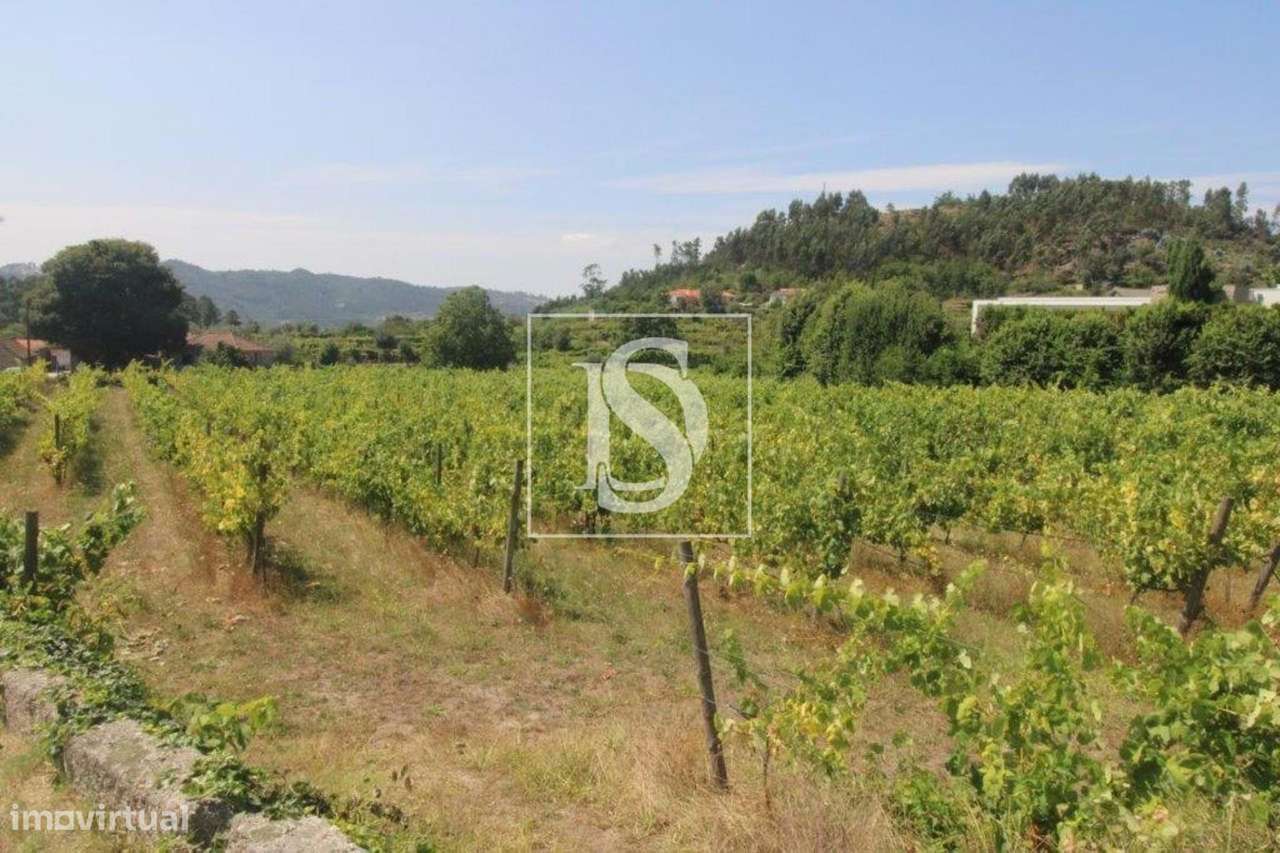 Terreno Não definido em Salvador do Monte - Grande imagem: 2/10