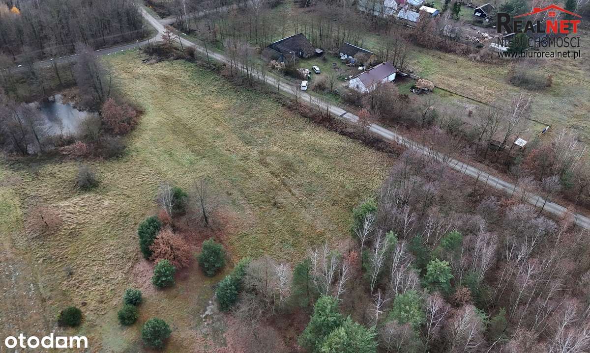 Działka budowlana 18a, Rzegocin gm. Nowy Korczyn-1