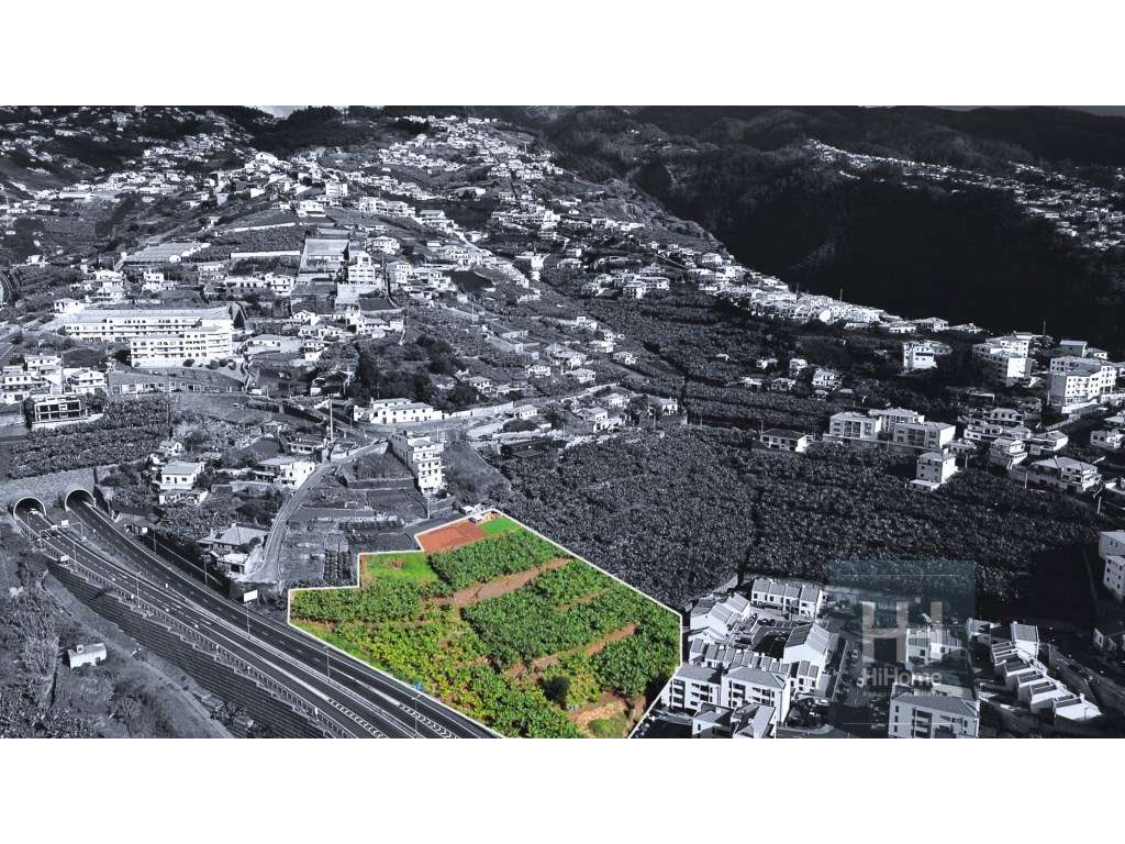 Terreno Agrícola com 7745m² em Câmara de Lobos - Grande imagem: 3/15