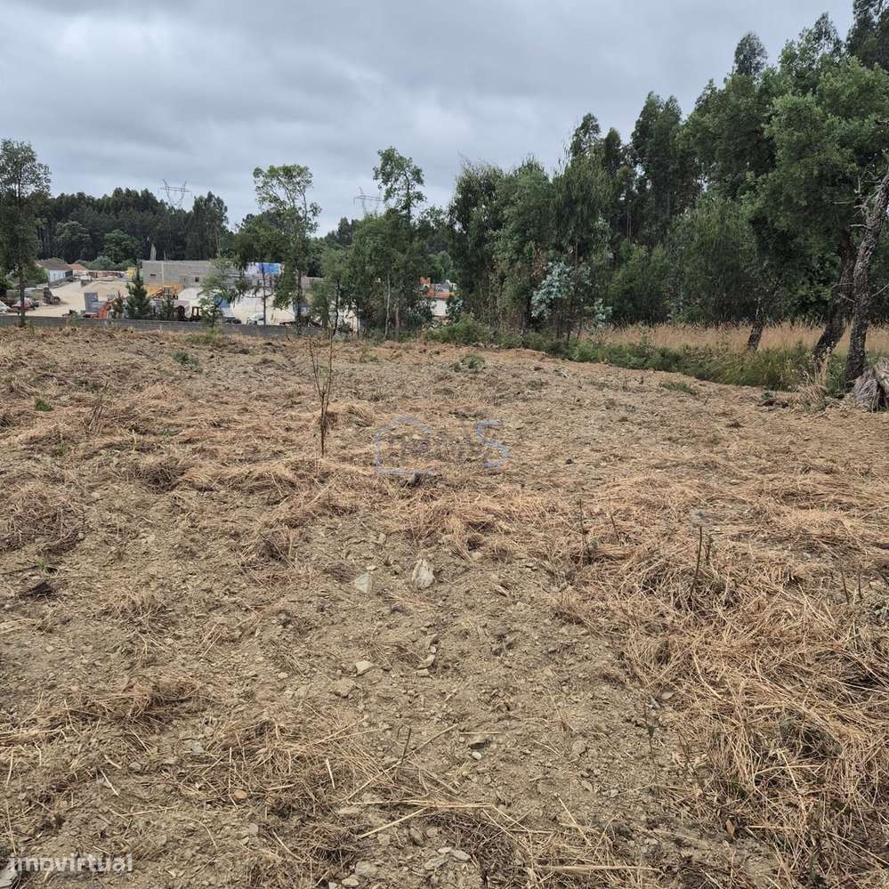 Terreno com 4.560 m² e Viabilidade de Construção – Casais, FZZ-9