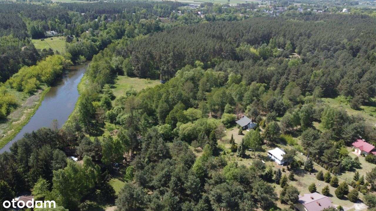 Działka przy Wkrze w otulinie lasu. - Pełny obrazek: 5/13