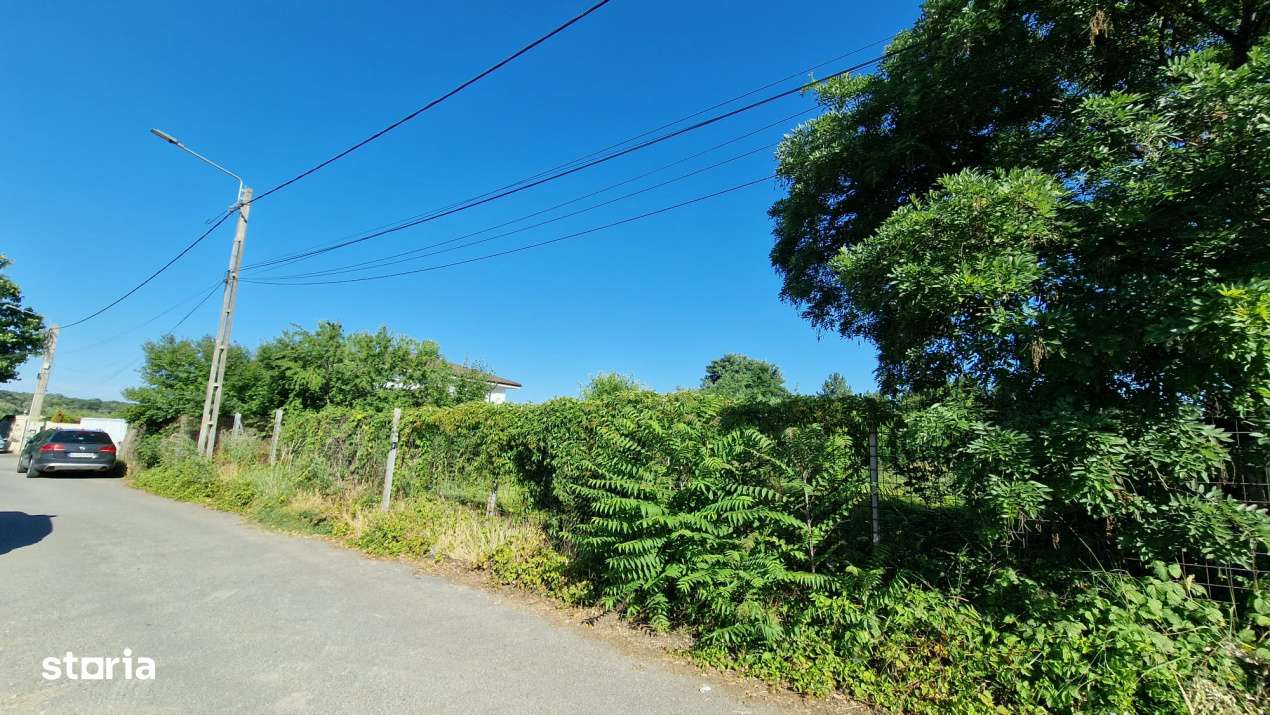 De Vanzare Teren Cernica Strada Luceafarului Zona Lac Padure 1500 MP F - Imagine principală: 5/5