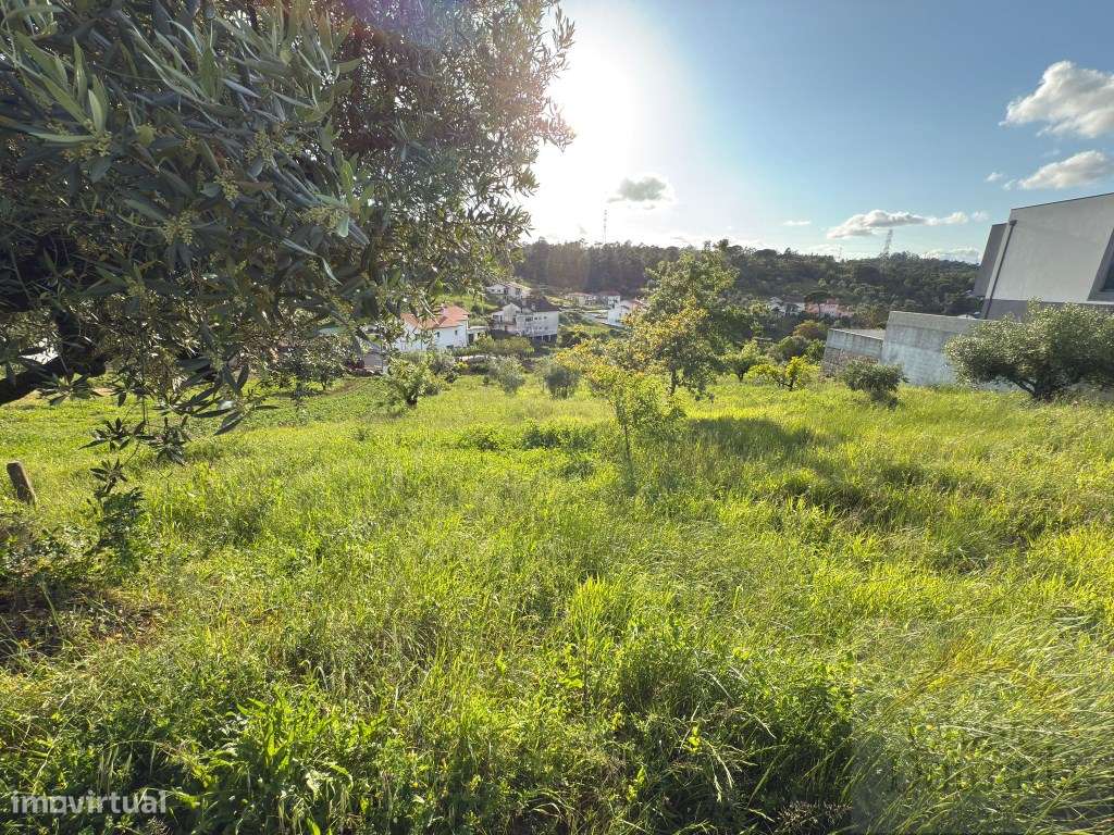 Terreno de 1.300m2 para moradia isolada - Grande imagem: 4/10