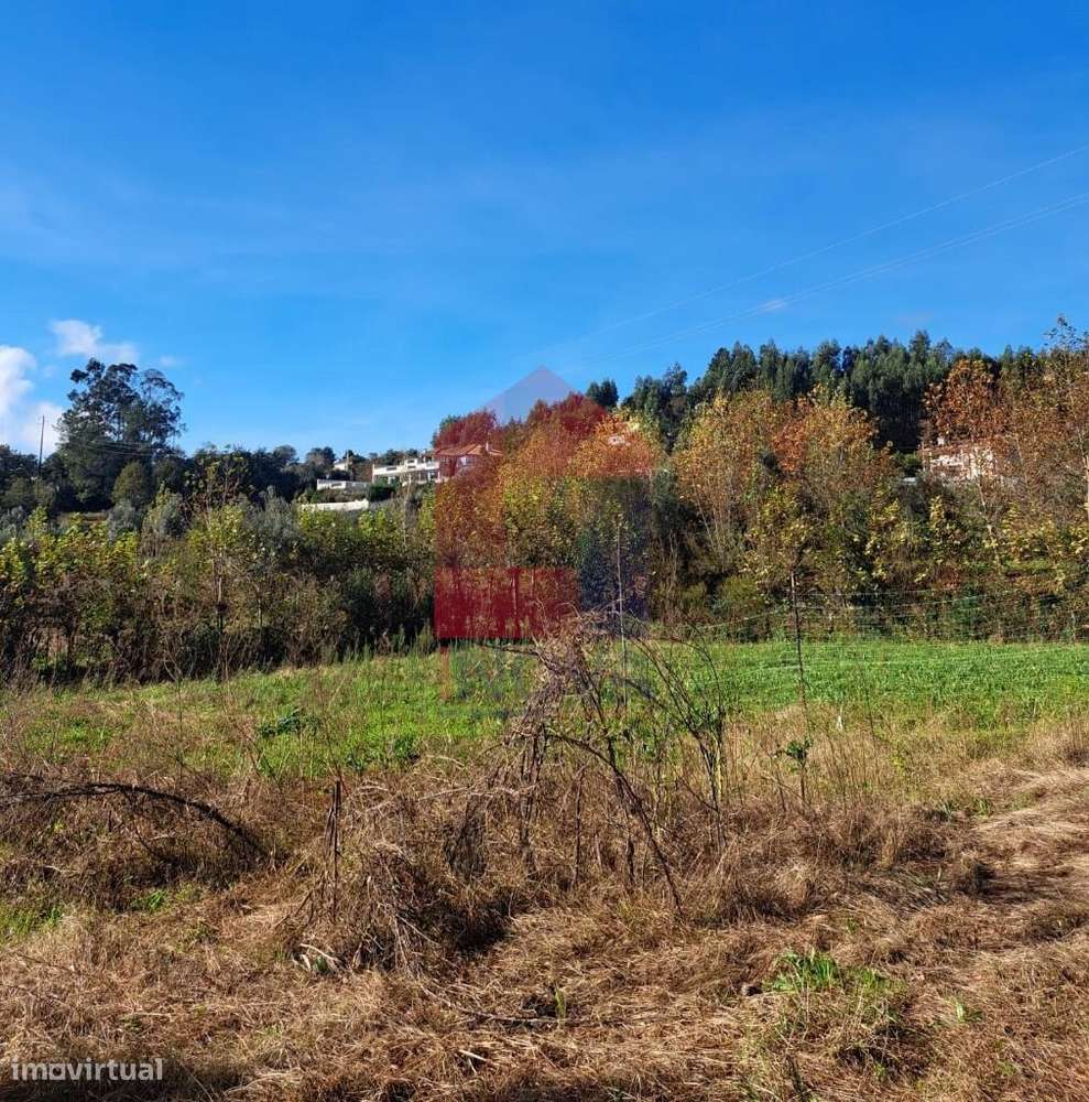 Terreno Agrícola, Gondiães - Grande imagem: 4/9
