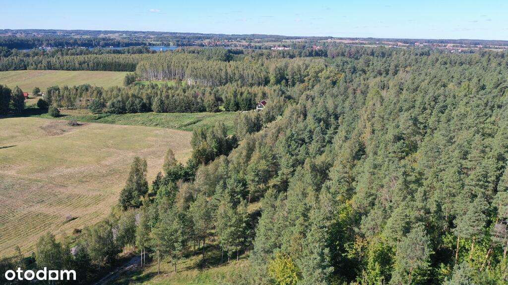 Na sprzedaż kompleks od 6 do 12 działek budowlanych – Rydzewo, ul. Maz - Pełny obrazek: 4/9