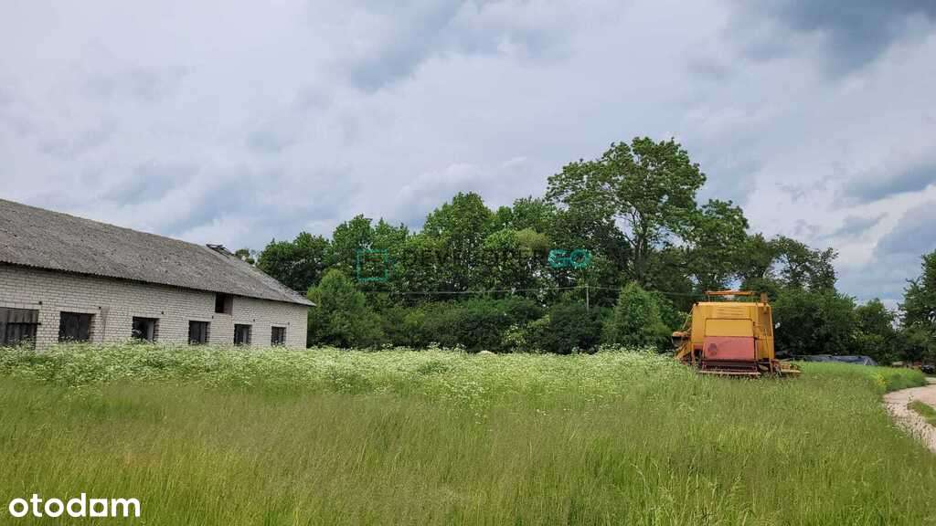Siedlisko z Potencjałem Gospodarczym w Danowie - Pełny obrazek: 5/9