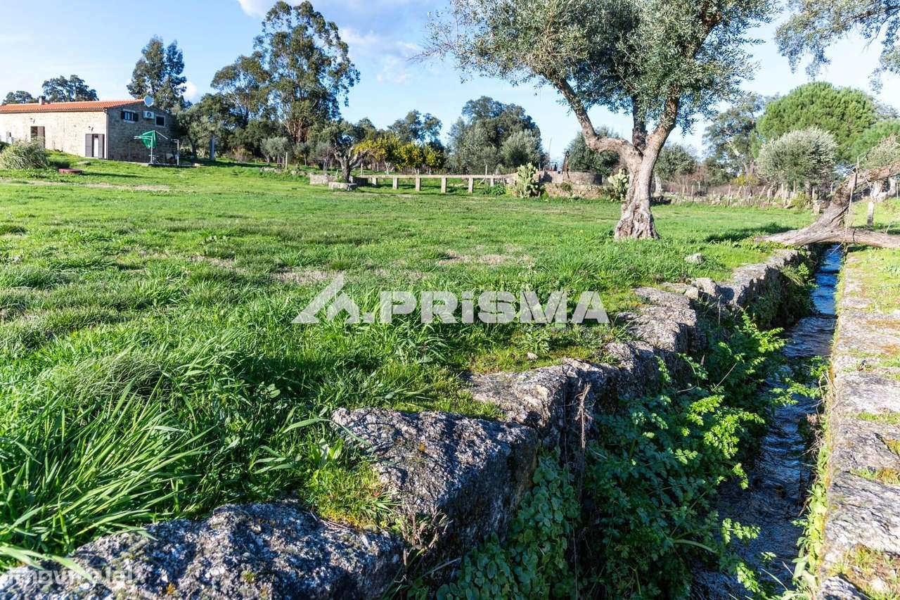 Quinta para venda em Escalos de Cima-41