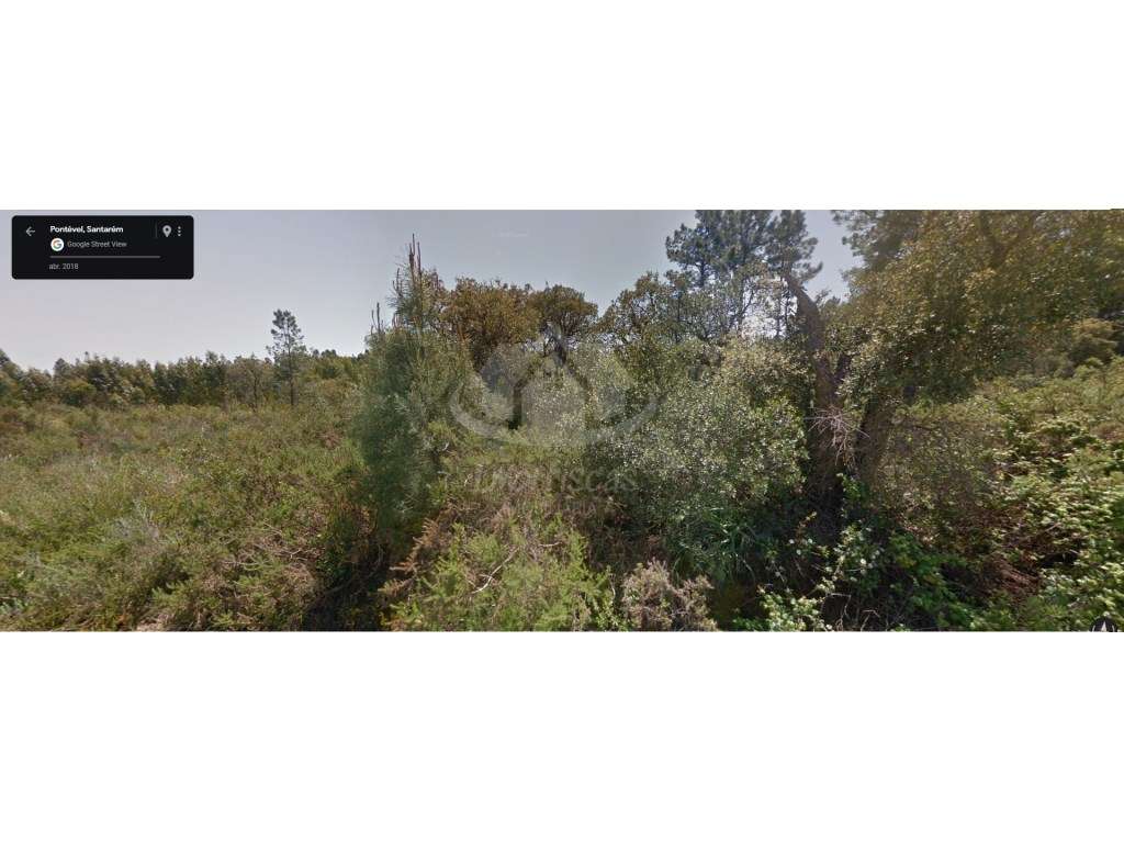 Terreno rústico com 16.100 m² em Pontével, Cartaxo - Grande imagem: 2/4