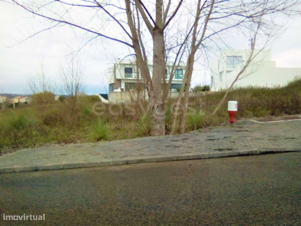 Novidade - Lote - Grande imagem: 1/1