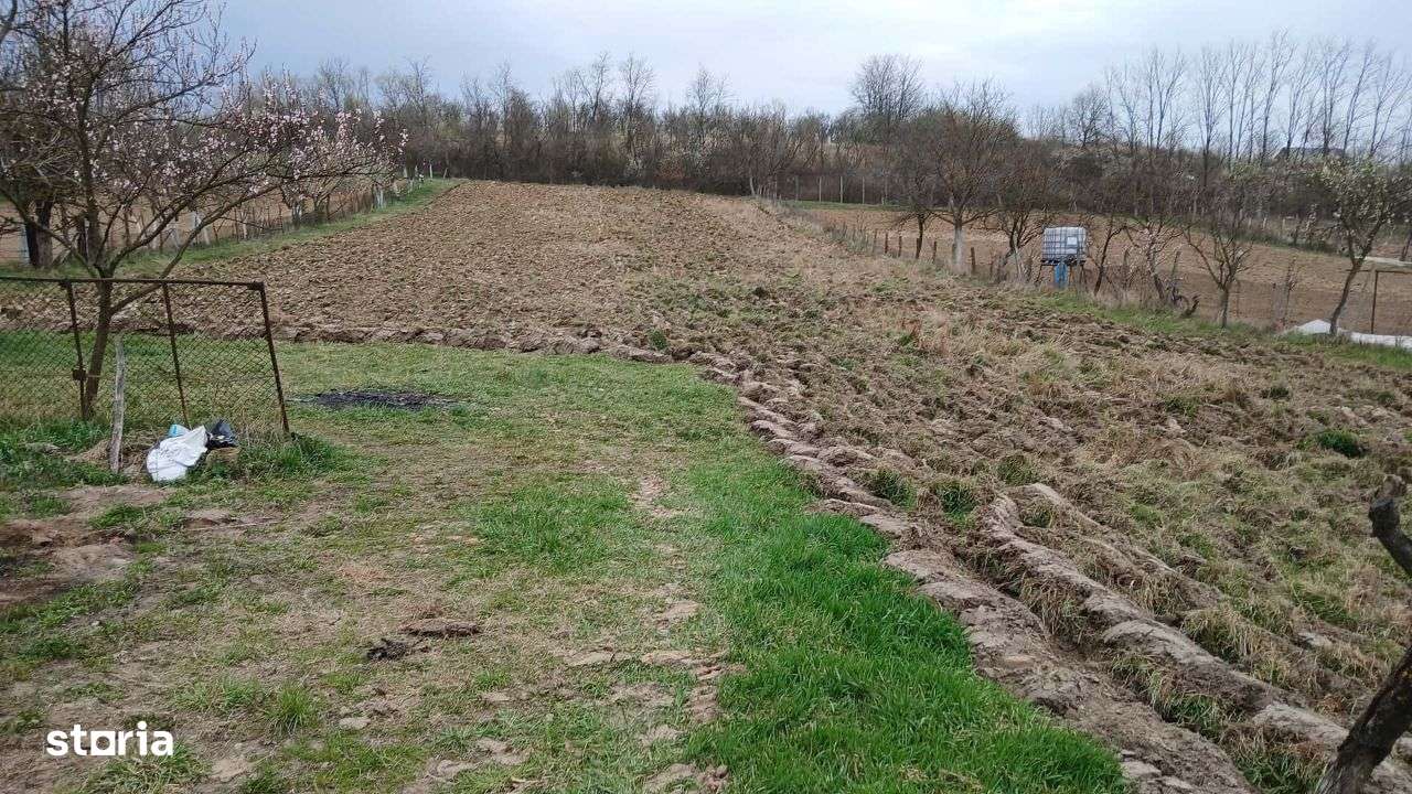 Comision 0 - Casa cu 2 corpuri in Paltinis-5