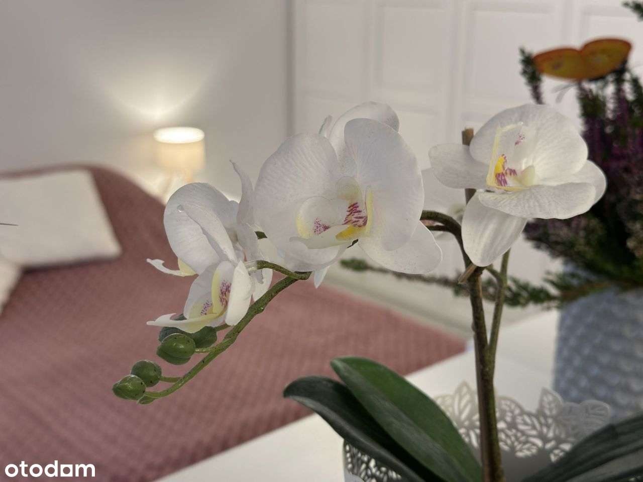 Ochota - 46 m² po generalnym remoncie - cisza, zie-9