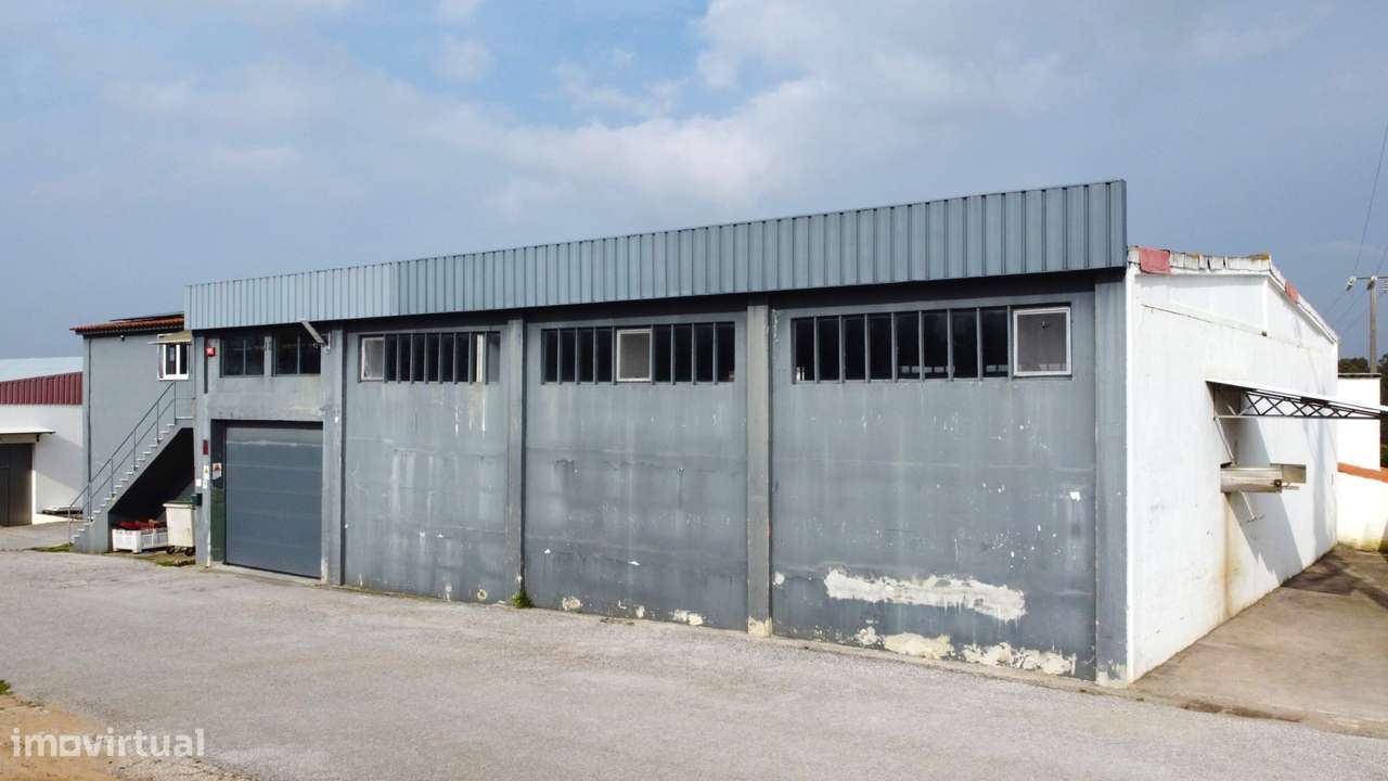 Armazém Industrial com Câmaras Frigoríficas – Lourinhã - Grande imagem: 2/21